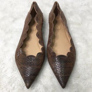 Chloe Women's Brown Scalloped Snakeskin Leather Pointed Toe Flats Size 39